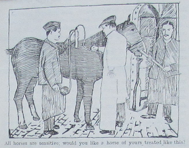 The National Archives: MH 55/1754. Leaflet, National Anti-Vaccination League, ‘A Second Inoculation “try-on” on the People’, attached to letter dated 20 October 1942. The caption reads: “All horses are sensitive, would you like a horse of yours treated like this?”